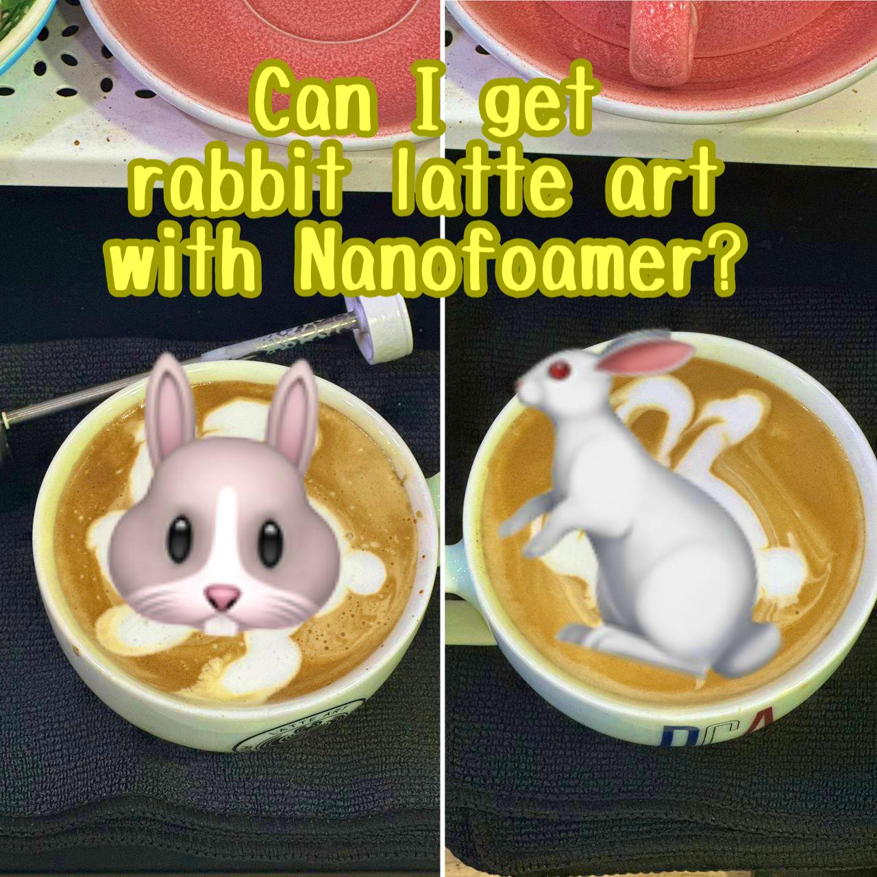 Can I get rabbit latte art with Nanofoamer- - Lefty Coffee
